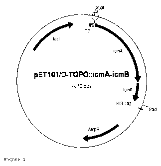 Une figure unique qui représente un dessin illustrant l'invention.